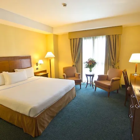 Mercure Leonardo Da Vinci Rome Airport Hotel Fiumicino