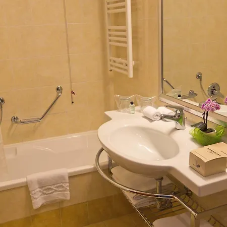 Mercure Leonardo Da Vinci Rome Airport Hotel Fiumicino