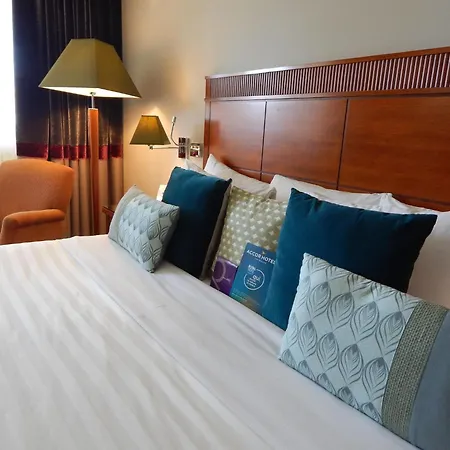 Mercure Leonardo Da Vinci Rome Airport فندق فيوميتشينو