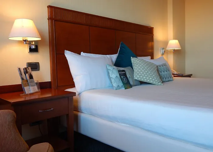 酒店 Mercure Leonardo Da Vinci Rome Airport 菲乌米奇诺