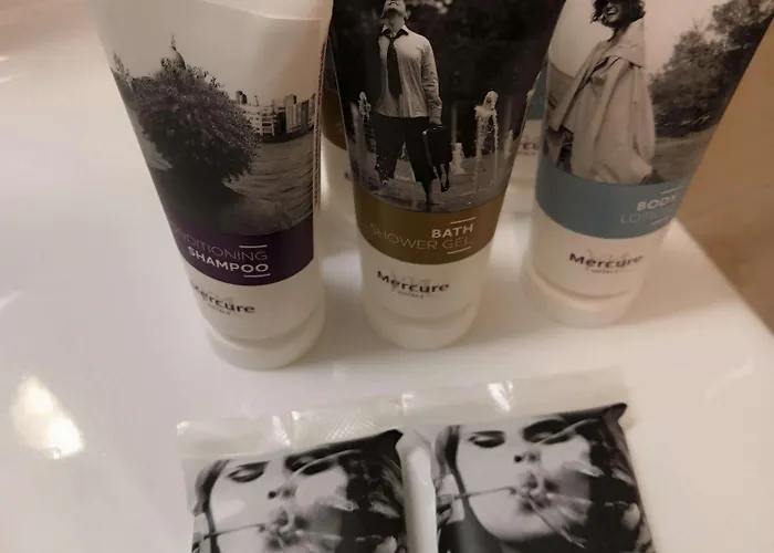 酒店 Mercure Leonardo Da Vinci Rome Airport 菲乌米奇诺