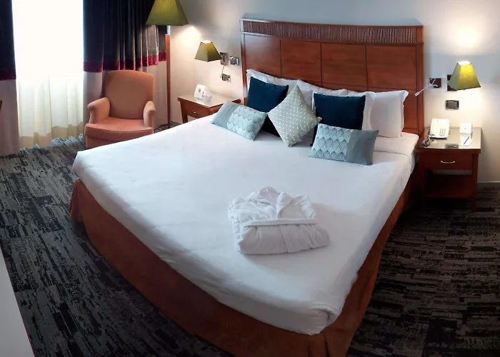 Mercure Leonardo Da Vinci Rome Airport 4* 菲乌米奇诺