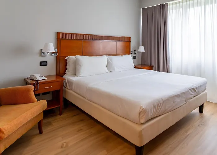 Mercure Leonardo Da Vinci Rome Airport 酒店 菲乌米奇诺