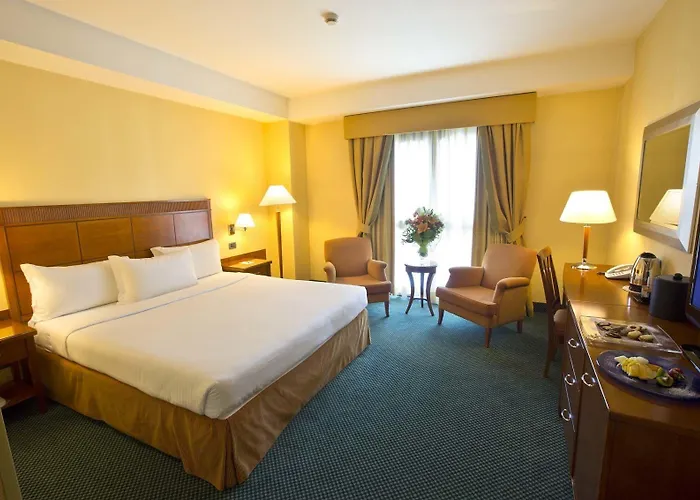 Mercure Leonardo Da Vinci Rome Airport 酒店 菲乌米奇诺