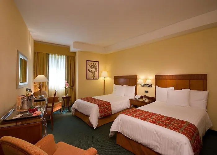 酒店 Mercure Leonardo Da Vinci Rome Airport 菲乌米奇诺