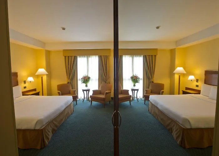 酒店 Mercure Leonardo Da Vinci Rome Airport 菲乌米奇诺