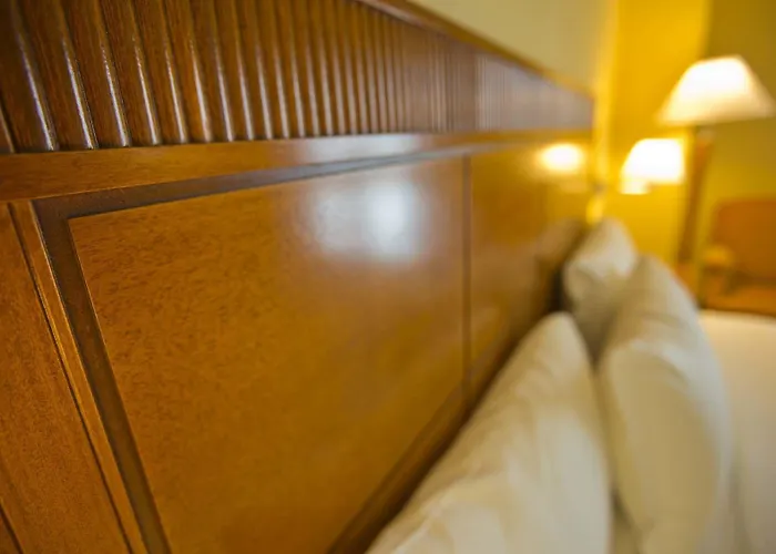 酒店 Mercure Leonardo Da Vinci Rome Airport 4*