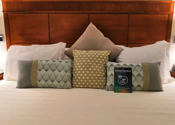 酒店 Mercure Leonardo Da Vinci Rome Airport 菲乌米奇诺