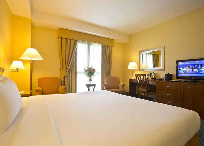 Mercure Leonardo Da Vinci Rome Airport 菲乌米奇诺