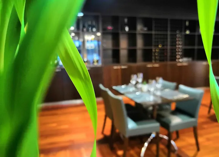 Mercure Leonardo Da Vinci Rome Airport 菲乌米奇诺